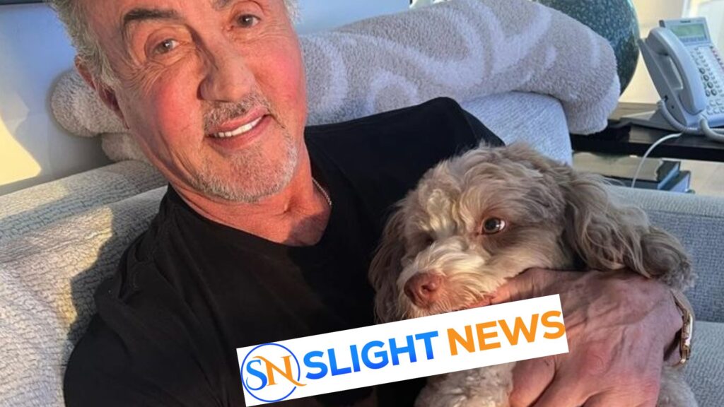 seargeoh stallone 2024